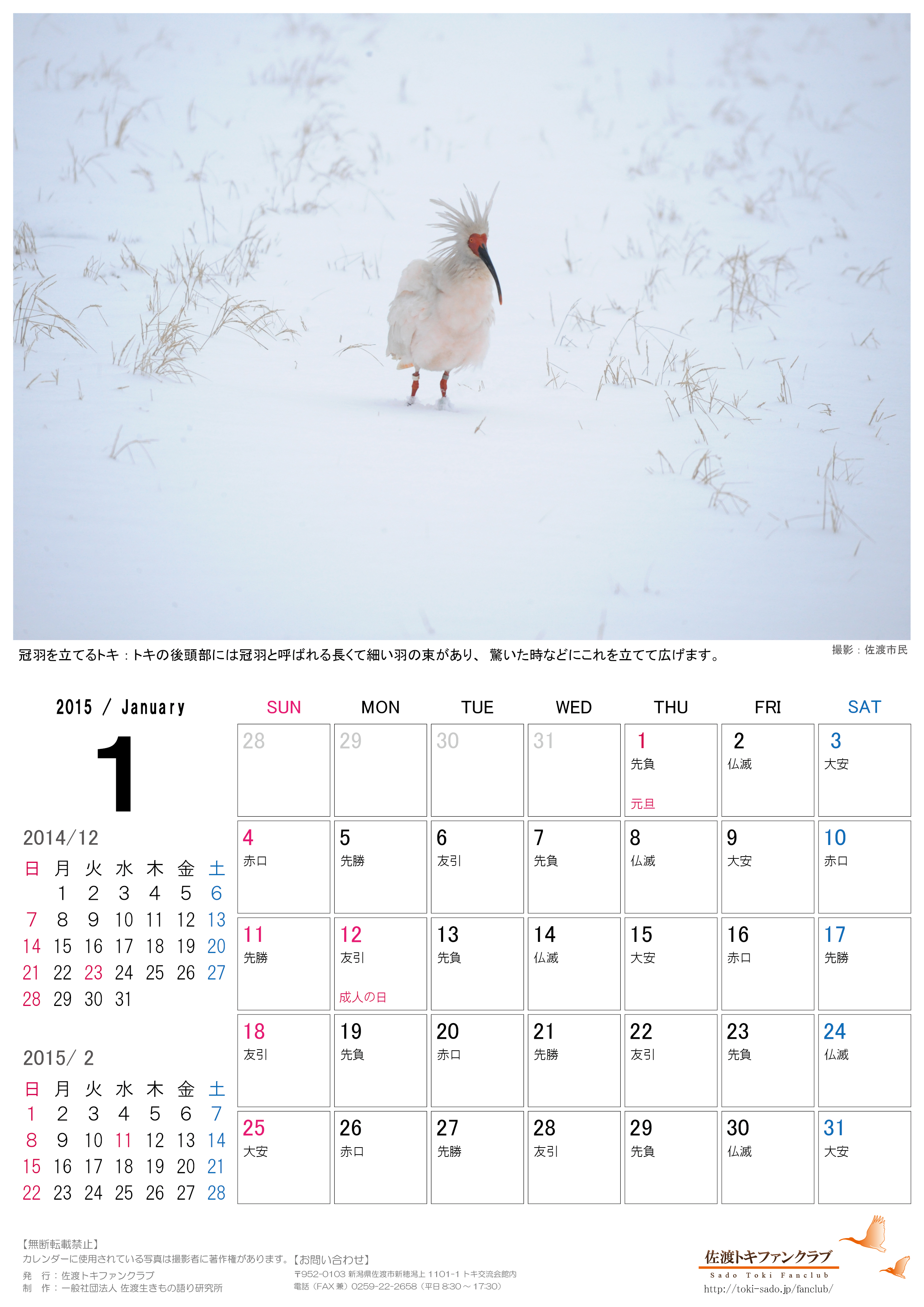 トキファンクラブ2015年１月 2月カレンダー無料配信のお知らせ 佐渡トキファンクラブ