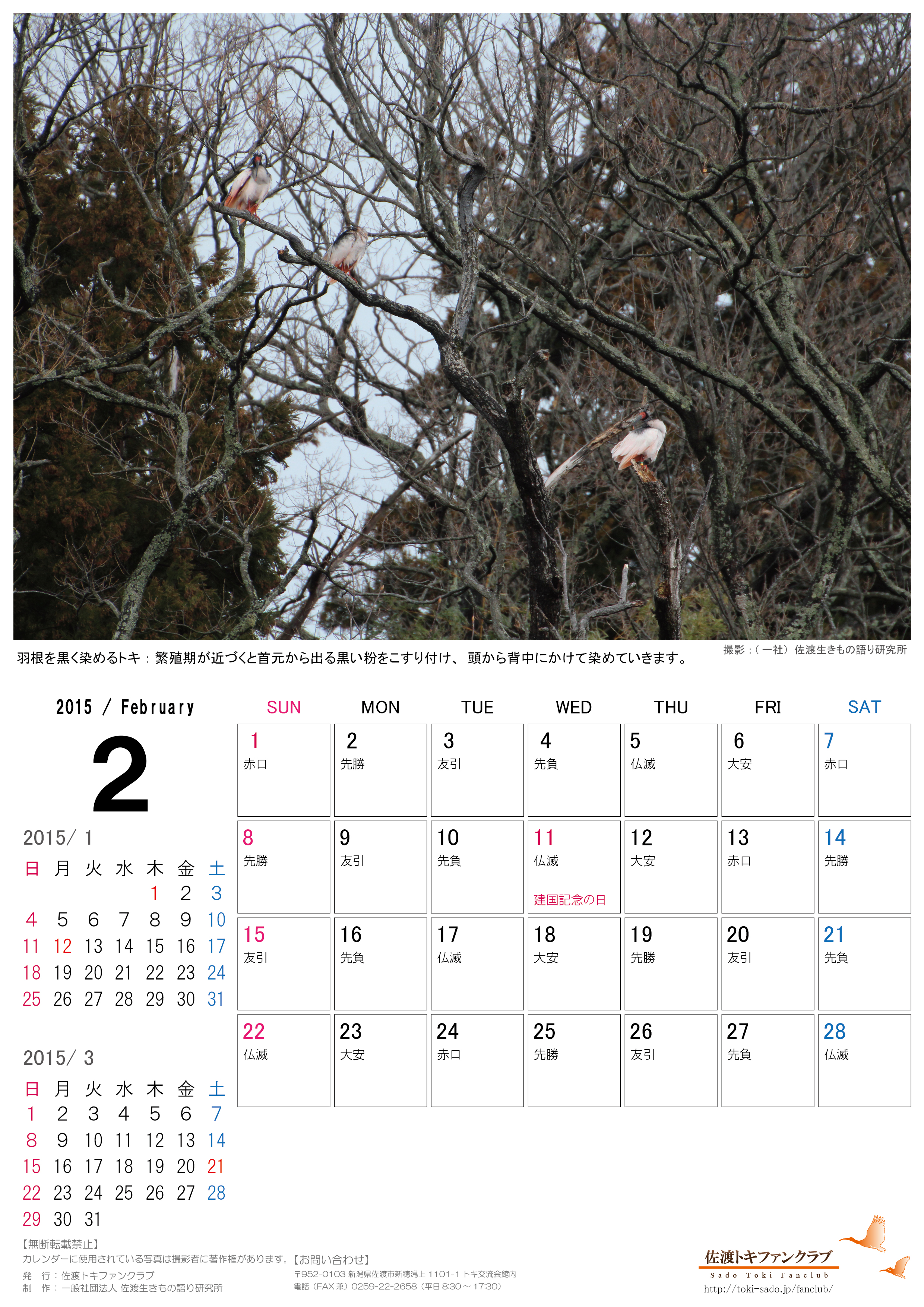 トキファンクラブ15年１月 2月カレンダー無料配信のお知らせ 佐渡トキファンクラブ