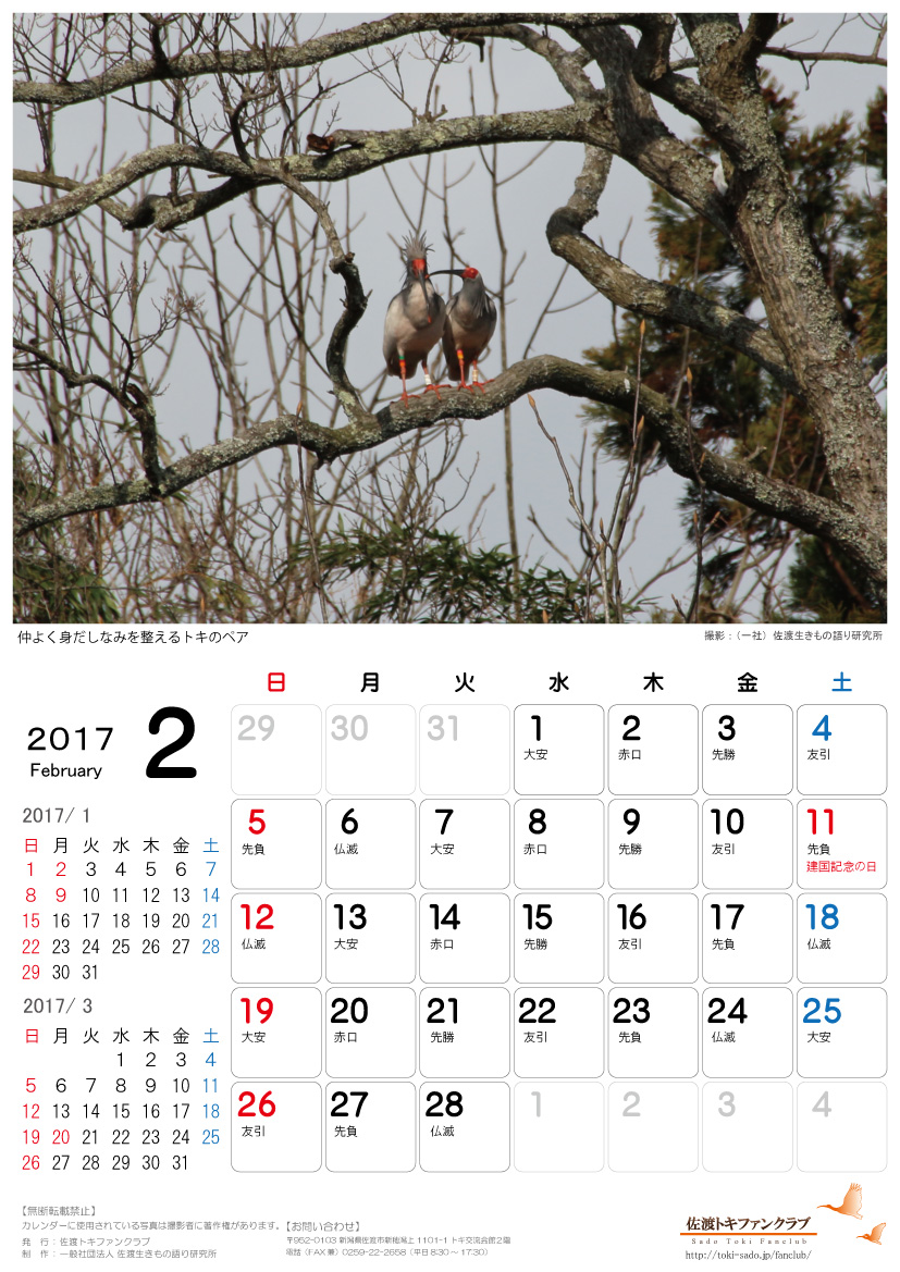 2017年トキカレンダー１月 ２月無料配信のお知らせ 佐渡トキファンクラブ