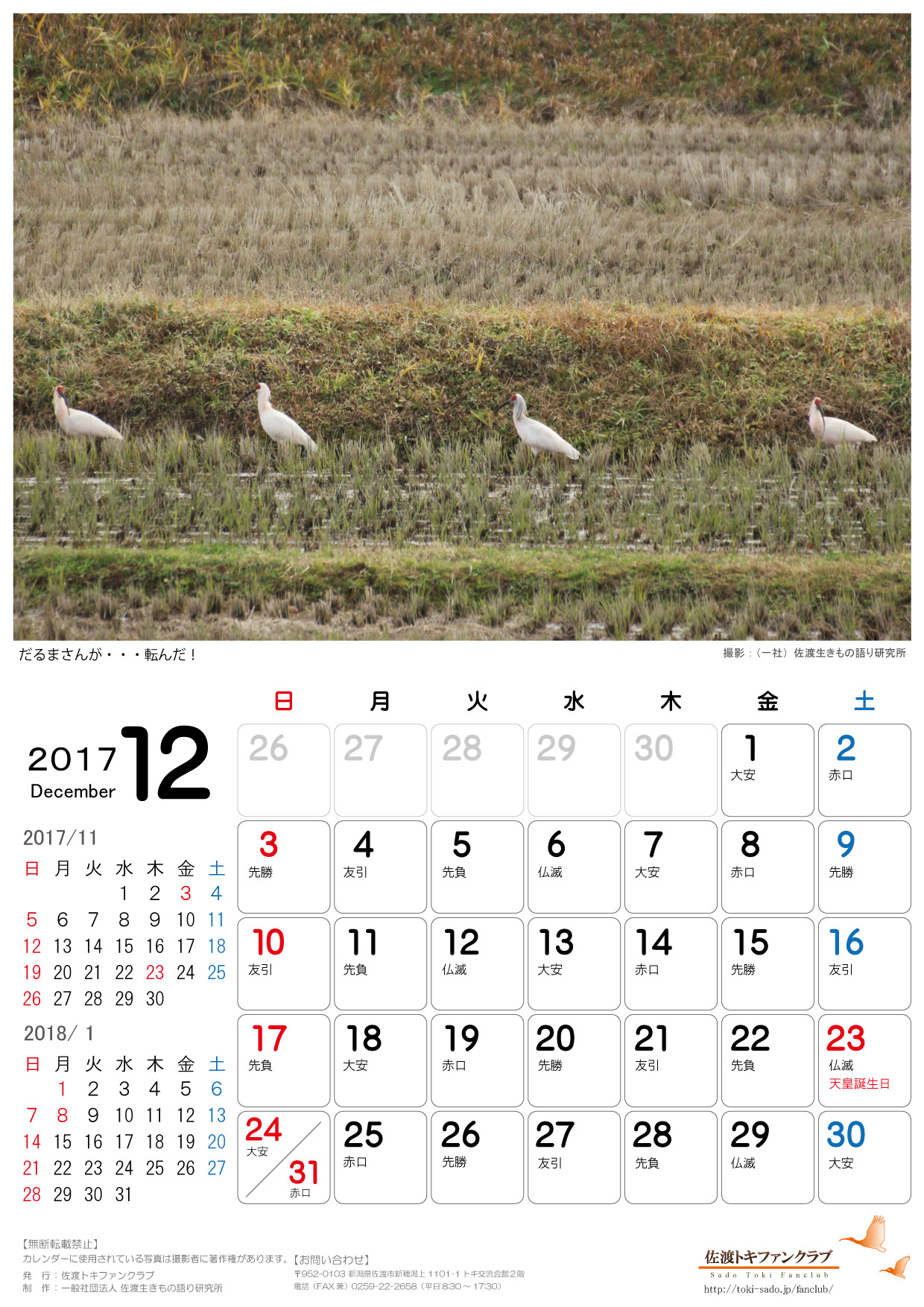 2017年トキカレンダー11月 12月無料配信のお知らせ 佐渡トキファンクラブ