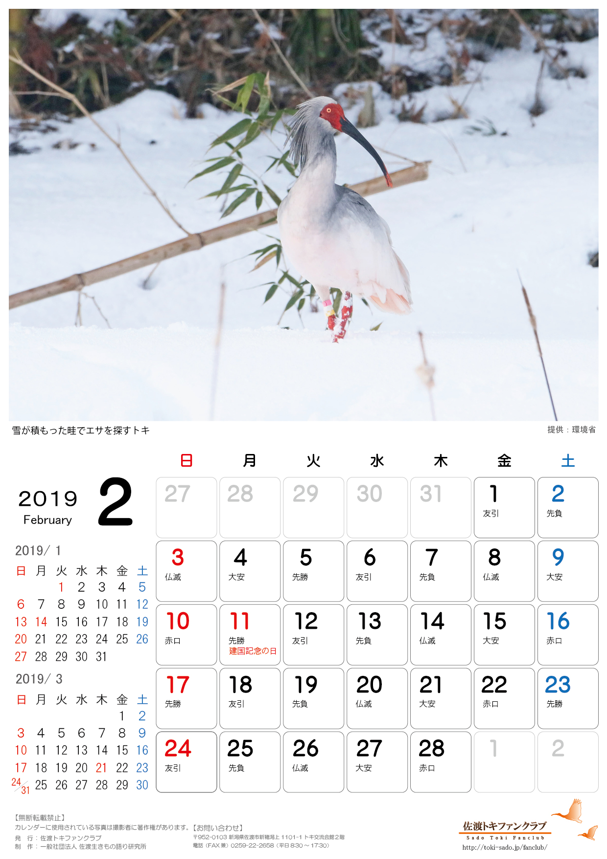 2019年トキカレンダー1月 2月無料配信のお知らせ 佐渡トキファンクラブ